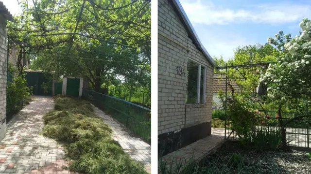 Dos imágenes muestran el costado de una casa moderna y un jardín pavimentado con follaje que crea un dosel sobre él.