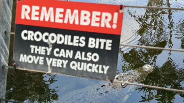 Un cocodrilo en el agua bajo un cartel que advierte que los cocodrilos muerden