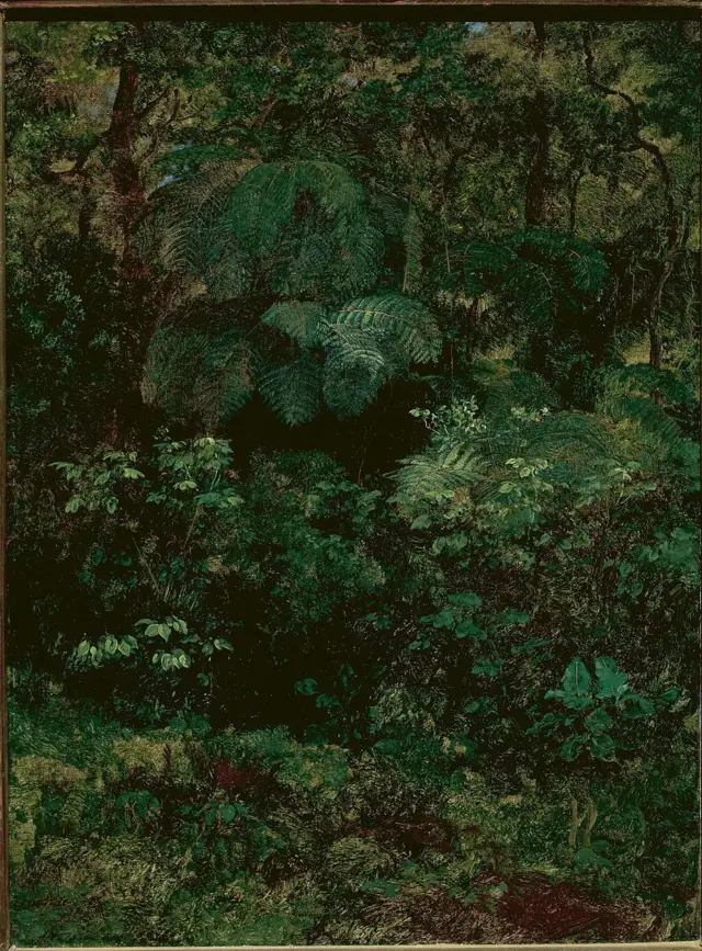 Vegetación exhuberantemente verde