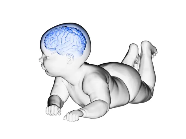 Un montaje audiovisual con la imagen de un bebé y su cerebro. 