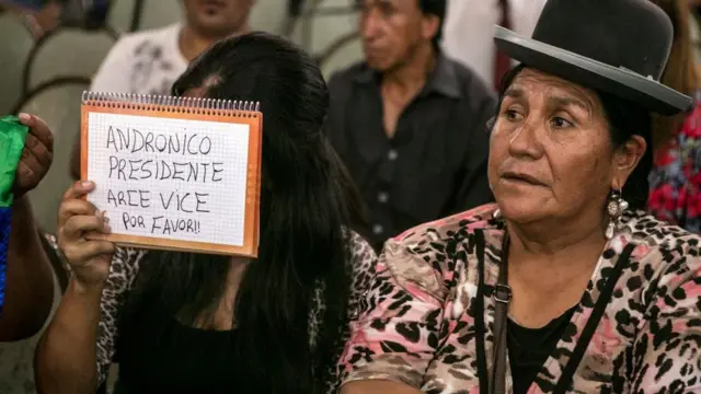 Una mujer sostiene un cartel en el que pide por la candidatura de Andrónico Rodríguez para presidente, en un plenario del MAS en Buenos Aires, el 19 de enero de 2020.