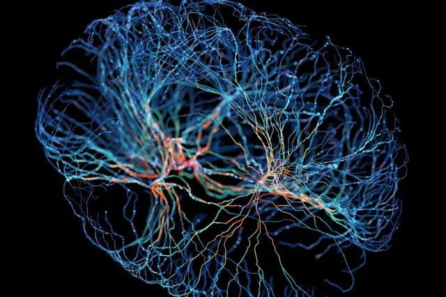 Ilustración del sistema de neuronas del cerebro. 