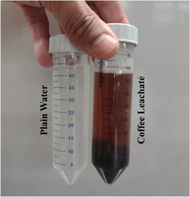 Lixiviado de café procedente de SCG.