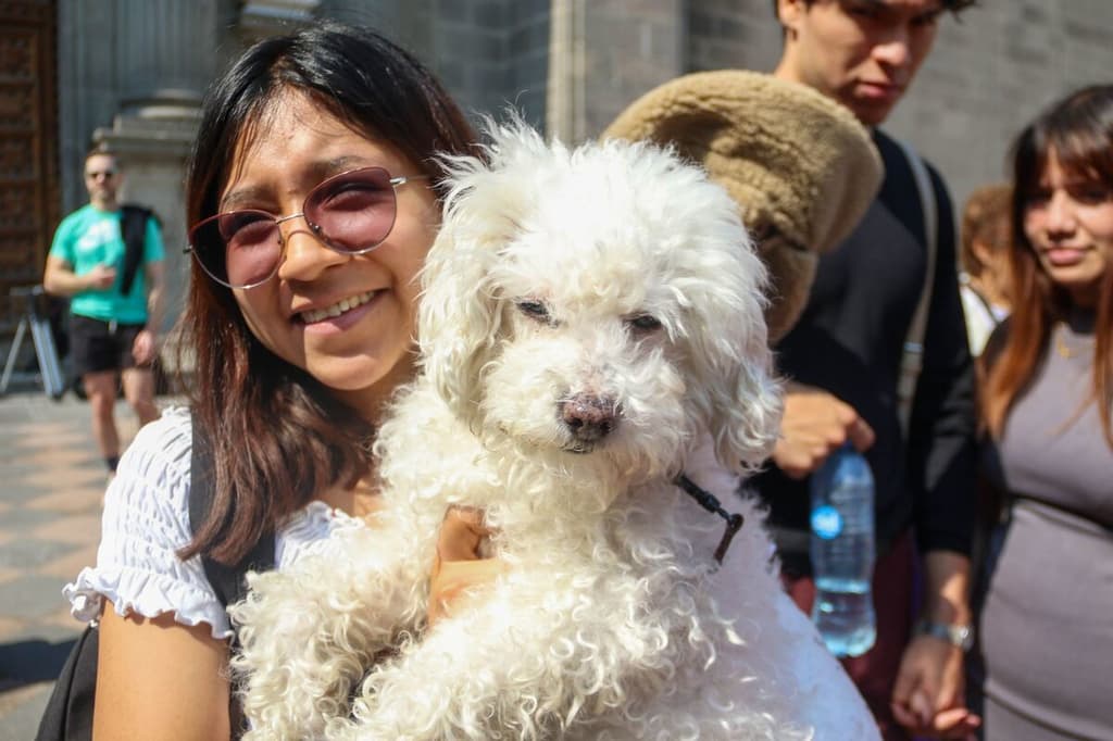 Bendicen a Perritos en la Catedral CDMX