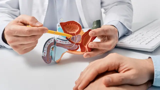 Un médico utiliza un modelo para mostrar la ubicación de la próstata a un paciente