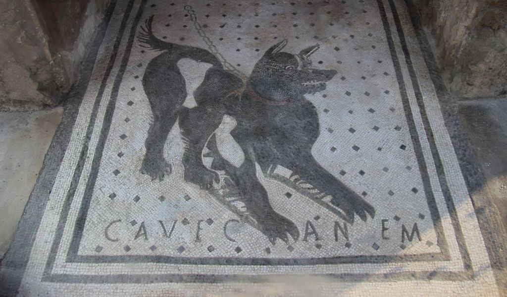 Cave canem, Casa del poeta trágico