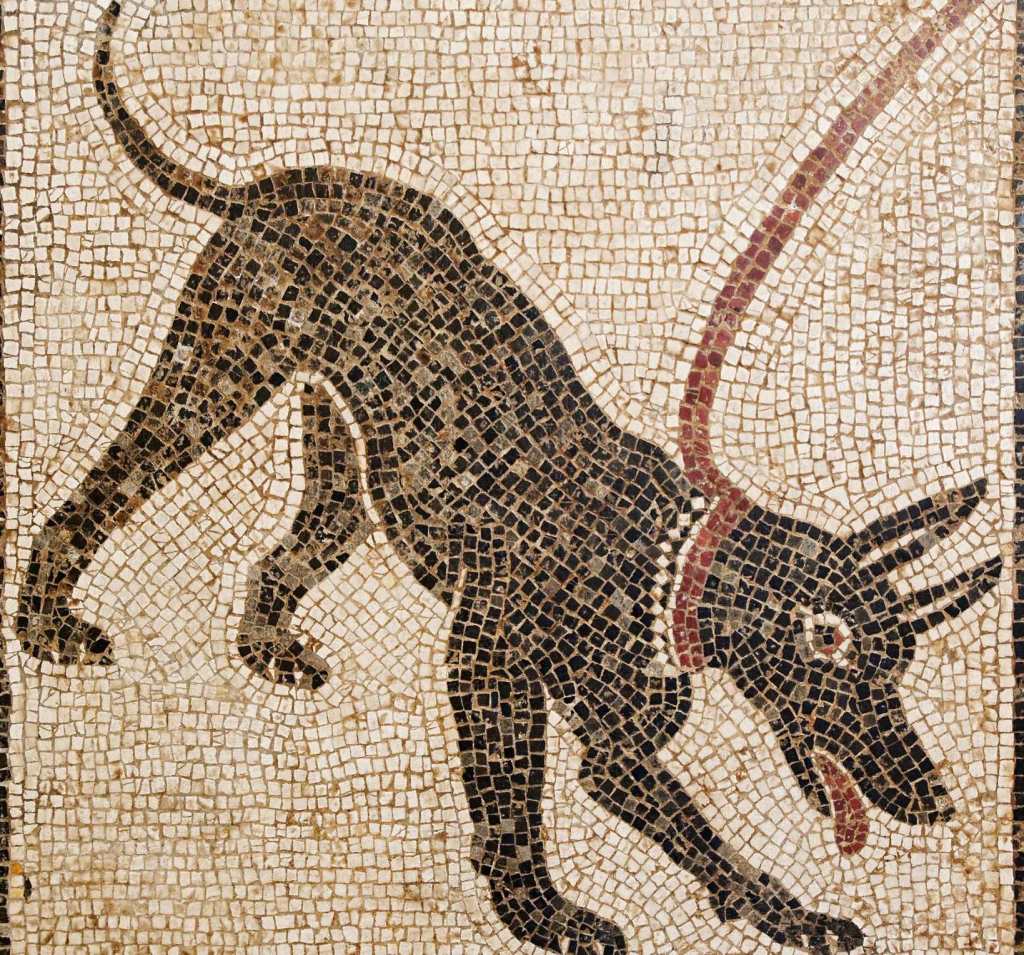 Cave canem