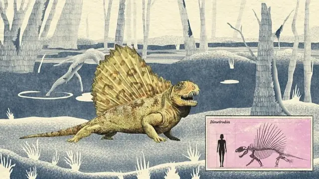 Una ilustración en la que se ve a un Dimetrodon, reptil de cuatro patas con una estructura similar a una vela que le sale de la espalda, con la que se ve más alto que una persona. 