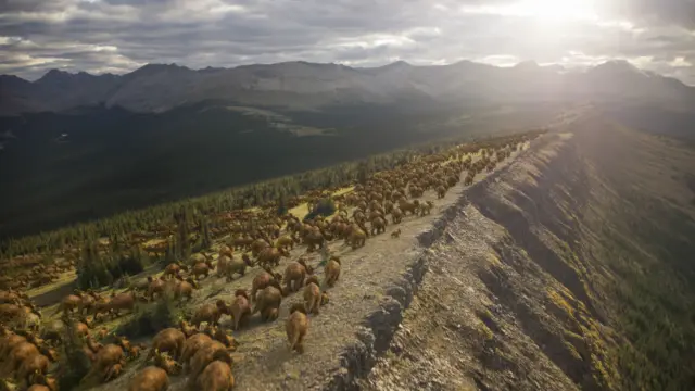 Antes de que se produjera el desastre, se cree que los Pachyrhinosaurus estaban migrando, como muestra esta imagen computerizada con numerosos animales marrones que cruzan un amplio saliente rocoso con el sol y las nubes proyectando una luz taciturna sobre las exuberantes montañas verdes que los rodean.
