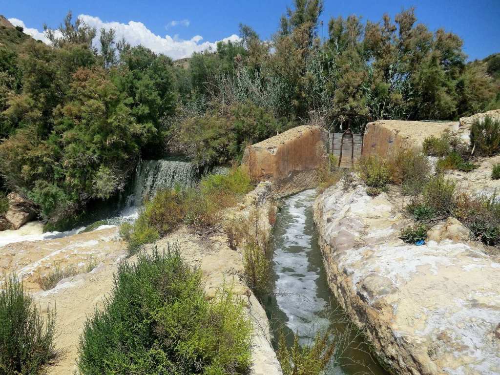 Acequia Oasis Elche