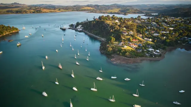 Una vista aérea de una península con casas entre las colinas y árboles verdes y decenas de barcos veleros navegando desde el muelle hacia el mar abierto