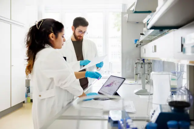 Un par de científicos mira los resultados de una investigación.