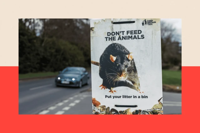 Un cartel que advierte de no alimentar a los animales, con la imagen de una rata. 