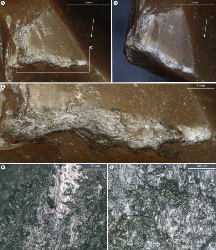 Fuego en la prehistoria