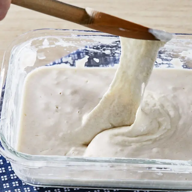 Masa madre