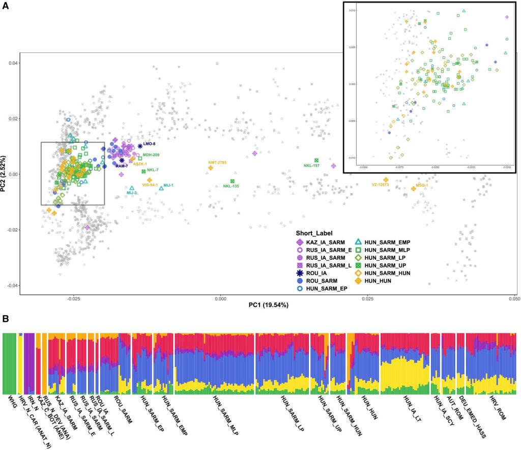 PCA y ADMIXTURE, ADN sármata