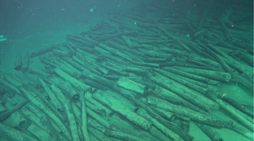 Madera de un pecio encontrado en el mar de la China Meridional