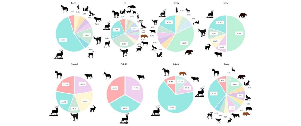 Especies de Arrillor