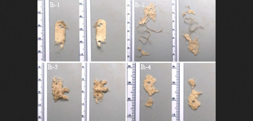 Papel chino del siglo XIV