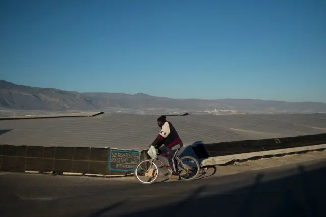 Migrante recorre en bicicleta los invernaderos de Almería.