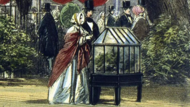 Pintura de una pareja mirando una caja de Ward en la exposición entre vegetación.