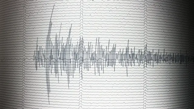 Líneas dibujadas sobre una hoja de papel blanco que representan ondas sísmicas