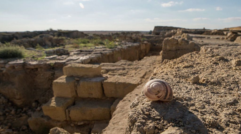 Yacimiento de Artezian