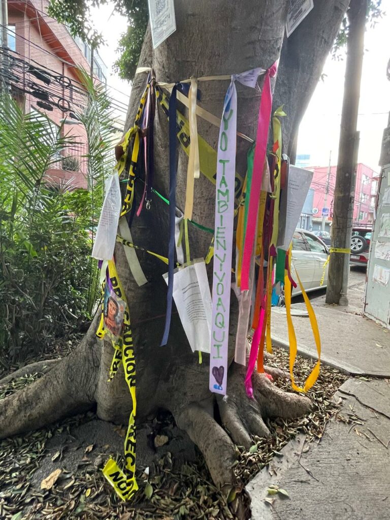 Árbol Laureano