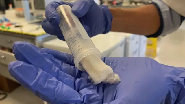 Una persona con guantes azules sostiene un tubo de ensayo que contiene grumos de queratina blanca y esponjosa extraída del cabello.