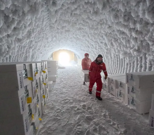 Las muestras se almacenaron en una cueva de hielo en la Antártica antes de ser transportadas en un barco con destino a Europa.