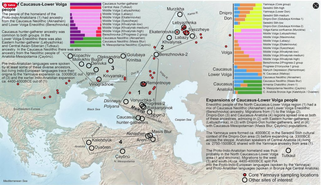 Mapa con la formación de las lenguas indoeuropeas