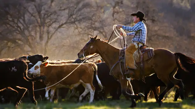 Foto genérica de un ranchero y un grupo de vacas.