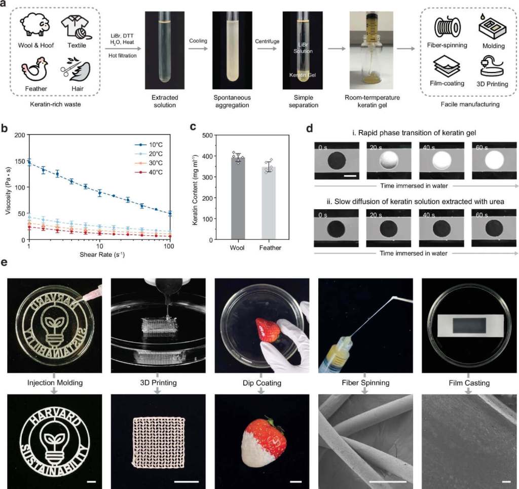 Proceso de extracción y solidificación del gel de queratina estable mediante bromuro de litio (LiBr), su comportamiento reológico y transición rápida a sólido en agua, junto con ejemplos de fabricación como moldeo, películas, recubrimientos, fibras e impresión 3D. Fuente: Wang et al., Nature Communications (2025).
