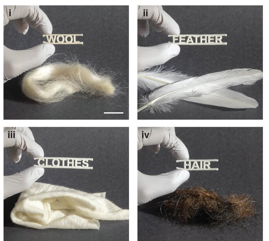 Muestras de queratina regeneradas a partir de lana, plumas de ganso, ropa de lana y cabello humano. Cada una fue moldeada por inyección para formar la palabra que identifica su origen. Escala: 1 cm.