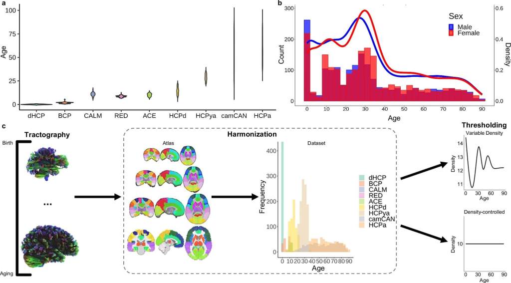 Distribución de edades y métodos del estudio: los datos proceden de nueve grandes cohortes y muestran cómo se construyeron y armonizaron los mapas de conectividad cerebral antes del análisis. Crédito: Nature Communications.