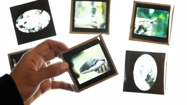 Imágenes de Winston