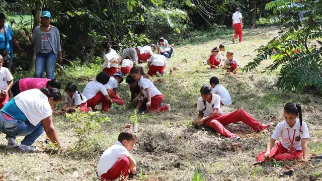 Niños plantando árboles