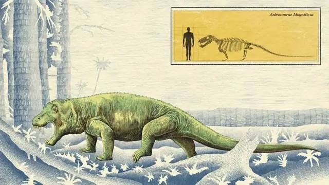 Un gráfico en el que se ilustra el Anteosaurus, un reptil cuadrúpedo con grandes caninos.
