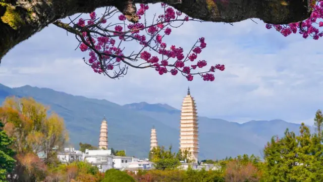 Un paisaje con una pagoda al fondo y un cerezo en flor al frente.