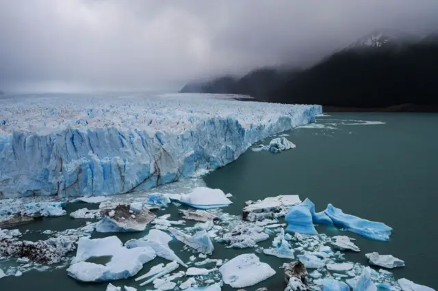 Pedazos de hielo desprendidos del Perito Moreno sobre las aguas del lago con el que se comunica.  