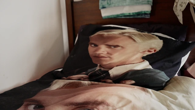 Una almohada con la imagen de Draco Malfoy