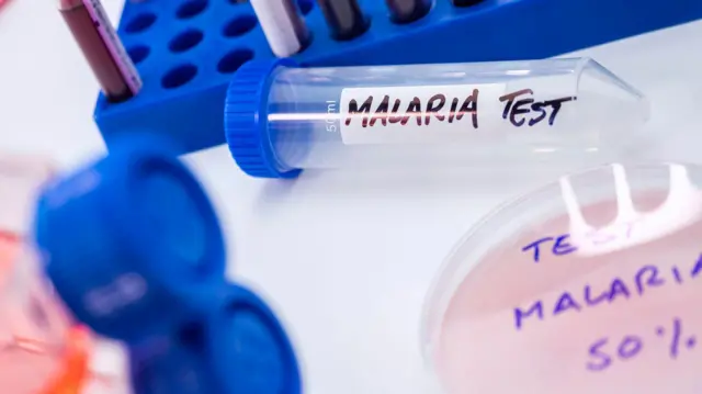 Prueba de malaria