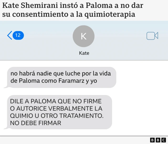 Gráfico que muestra los mensajes de Kate Shemirani a Ander, escritos en mayúsculas: