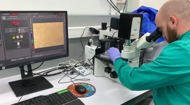 Laboratorio