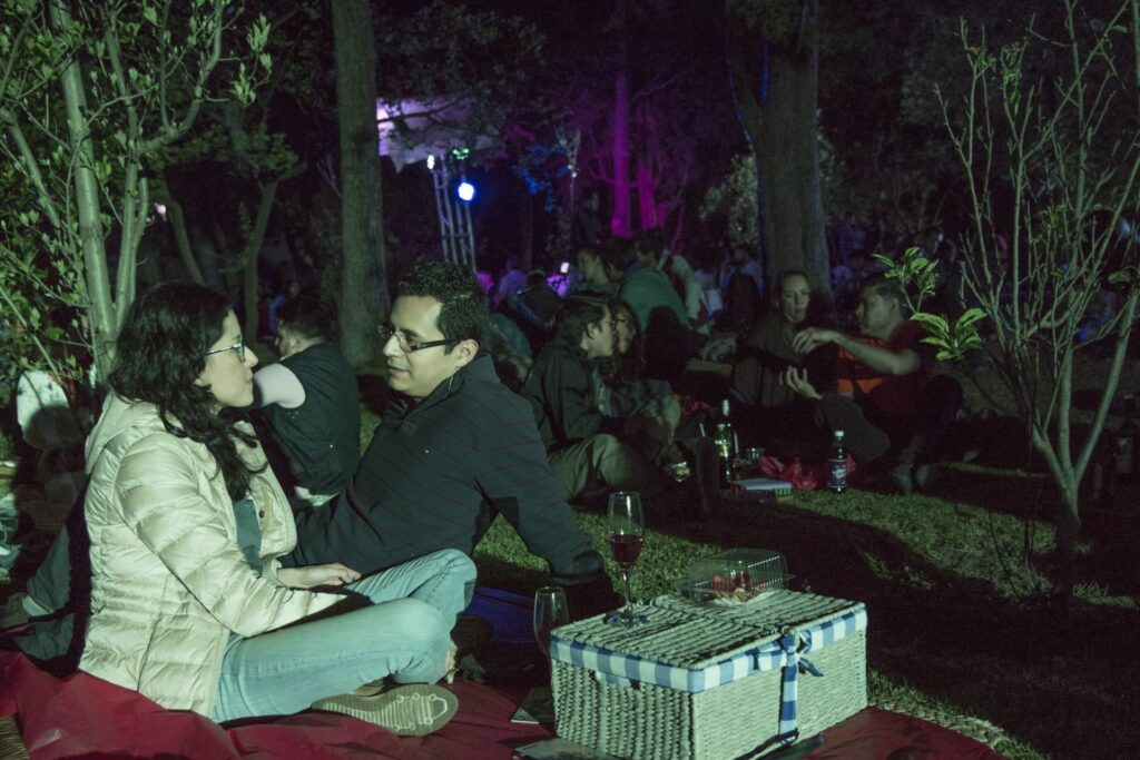 Picnic Nocturno