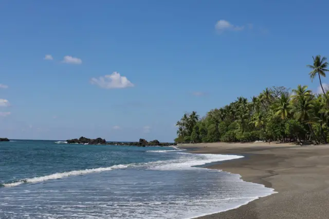 El verdor del bosque tropical se encuentra con el azul de océano Pacífico en la península de Osa