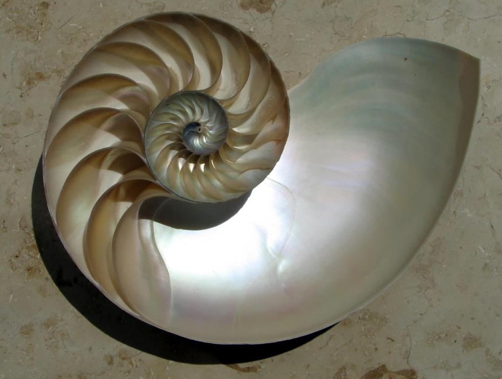 Minerales