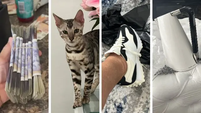 Entre las compras de Deborah Mason estaban accesorios de diseñador para su gato, llamado Ghost, zapatos deportivos y una tetera Bugatti.