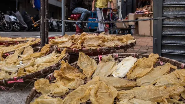 Venta de buches secos de totoaba en un comercio en Hong Kong