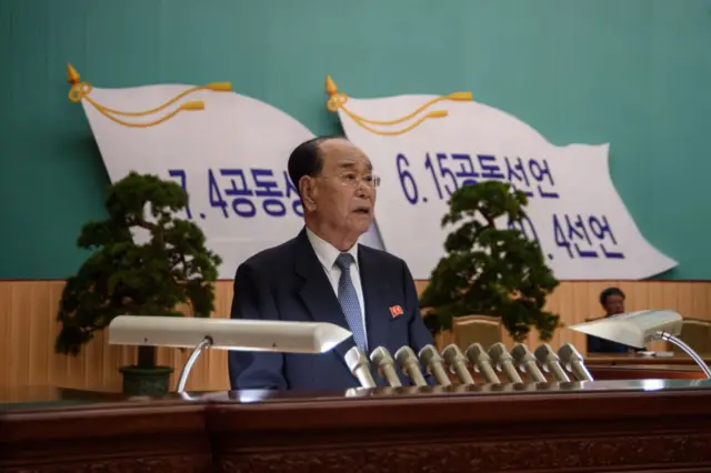Kim Yong-nam dando un discurso